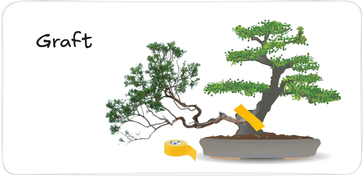 A cartoon image of two bonsai trees being grafted together using duct tape.